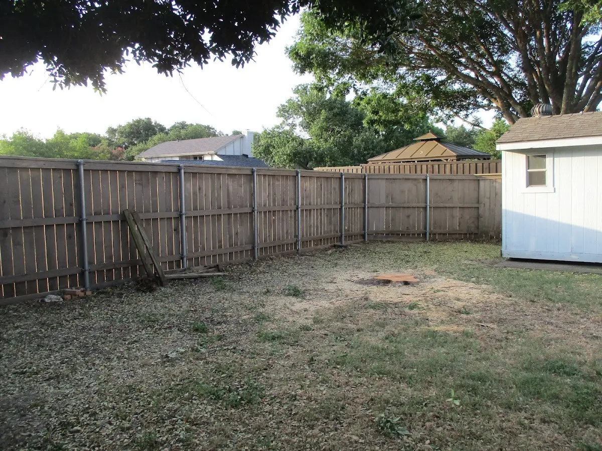 Cleared yard after professional tree removal in Bernville